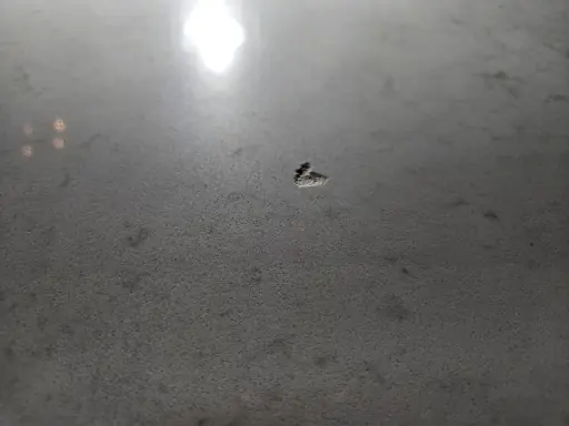 Quartz bar chip before repair